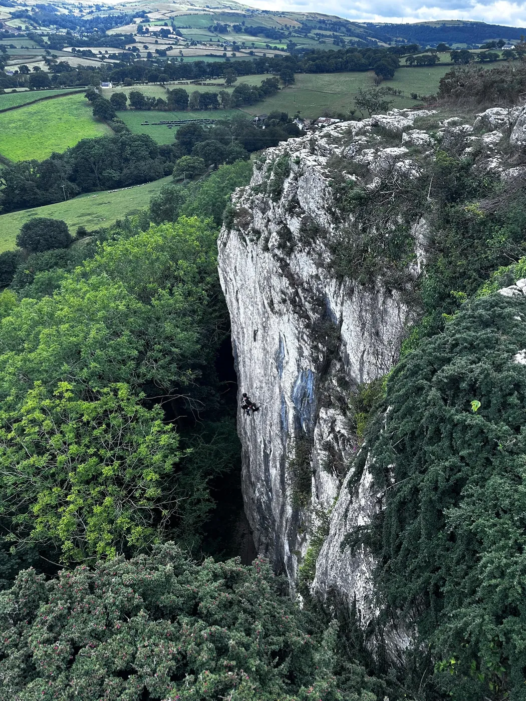 Climber beside a limestone crag above green fields