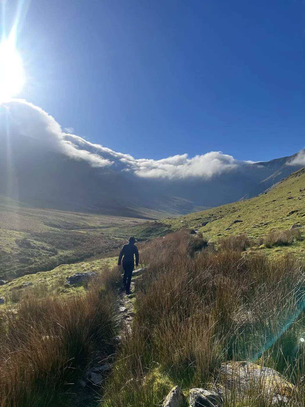 Approach to Crib Lem under sweeping cloud